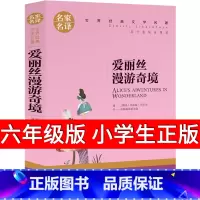 [正版]爱丽丝漫游奇境记书六年级下册必读课外书刘易斯·卡罗尔著三四年级爱丽丝漫游奇遇记爱丽丝梦游仙境书北京日报出版社