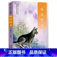 [正版]孤岛野犬 百班千人大阅小森三年级课外书 椋鸠十动物小说爱藏本山大王小学生必读课外书阅读书籍人教版 21二十一世