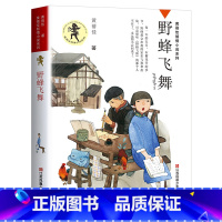 [正版]野蜂飞舞 书 黄蓓佳倾情小说系列 儿童文学故事书 三四五六年级小学生课外阅读必读书籍 江苏凤凰少年儿童出版社