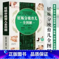 [正版]妊娠分娩育儿全图解 备孕怀孕育儿孕期胎教故事营养月子餐孕期三餐营养食谱 准妈妈爸爸胎教知识孕产妇妊娠分娩坐月子