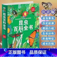 [正版]精装拼音版 昆虫百科全书 3-6-8岁儿童科普百科全书一二年级小学生课外读物百科书 昆虫甲虫百科 少儿注音版十