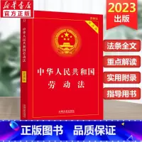 [正版]2023版中华人民共和国劳动法 实用版 民法典劳动法律单行本基础知识 中国法制出版社书籍97875216338