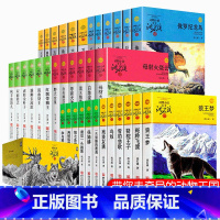 [全36册]沈石溪动物小说品藏书系列 [正版]沈石溪动物小说品藏书系列全集36册狼王梦斑羚飞渡后一头战象雪豹悲歌混血豺王