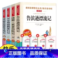 快乐读书吧六年级下册 全套4本 [正版]全套4册 六年级课外阅读书籍下册原著完整鲁滨逊漂流记小学生爱丽丝梦游仙境漫游奇境