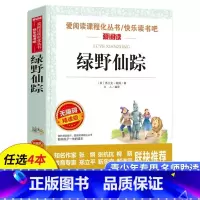 绿野仙踪 [正版]老师绿野仙踪三年级必读的课外书适合四年级读的课外阅读书籍 五年级小学生弗兰克鲍姆 儿童文学经典书目上册