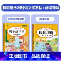 [五下2册]语文练字帖+阅读理解训练 小学五年级 [正版]五年级下册练字帖人教版同步语文课后生字贴每日一练 小学5年级下