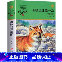 再被狐狸骗一次 [正版]再被狐狸骗一次 沈石溪动物小说品藏书系升级版 小学生课外阅读书籍6-12岁青少年版儿童文学三四五