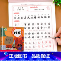 四年级下册 [正版]四年级下册同步字帖练字帖人教版写字课课练小学生语文生字词语临摹描红本练习册田英章书正楷书笔顺笔画每日