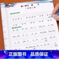 [正版]二年级下册看拼音写词语小学语文同步训练专项练习册人教版下练习配套人教版词语汉字生字注音写字本词语手册课堂基础辅