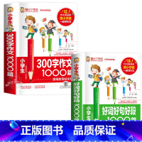 [2册]300字作文+好词好句好段 小学通用 [正版]小学生作文300字1000篇作文书小学3-6年级分类满分作文 小学