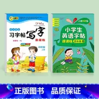 四年级上册语文+四年级上册英语 [正版]四年级五年级六年级上册下册练字帖同步练字本人教版小学生正楷初学者写字贴钢笔字语文