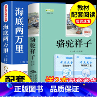 [正版]海底两万里和骆驼祥子原著必读书老舍七年级下册阅读的课外书老师初一7下书目名著书籍教育出版社人民人教版二2万里样