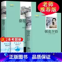 [正版]骆驼祥子必读 老舍和朝花夕拾鲁迅原著初中生七年级下册课外书初一青少年无删减导读版名著与考点名师陪读样子搭海底两