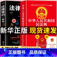 [正版]2册 民法典+法律常识一本全 中国民法典理解与适用大全法律书籍全套及相关司法解释汇编政策与法律法规民法典注释本