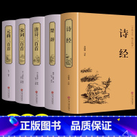 [正版] 中国古诗词大全集(唐诗三百首+元曲三百首+宋词三百首+诗经+楚辞)精装诗词歌赋书籍 古诗词鉴赏赏析唐诗宋词元