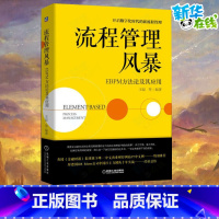 [正版]流程管理风暴 EBPM方法论及其应用 王磊 等 著 生产与运作管理经管、励志 书店图书籍