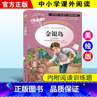 金银岛 [正版]金银岛书原著史蒂文森世界经典名著小学生三四五六年级必读课外阅读书籍故事文学读物山东美术出版社4-5安丰