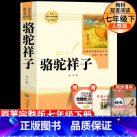 [正版]骆驼祥子原著老舍七年级必读人民教育出版社初中生人教版名著阅读下册初一课外阅读书籍完整版同步配套课外书和海底两万