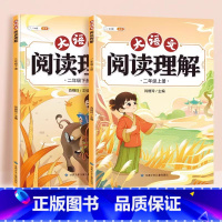 阅读理上下册 小学二年级 [正版]/二年级阅读理解训练小学语文人教版2年级上册下册专项训练书看图写话每日一练 课外强化训
