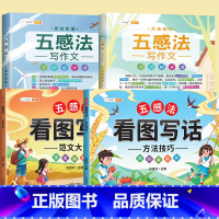 [二年级写作衔接]看图写话+五感法写作文 小学通用 [正版]五感法看图写话一年级二年级下册上册小学生写作起步专项训练看图