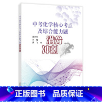 [正版]中考化学核心考点及综合能力题满分冲刺 核心知识 学科思想方法 学科素养 全面涵盖 提分 冲刺上海名校 上海教育