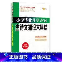[正版]书籍小学毕业升学夺冠古诗文知识大集结(全新升级版)