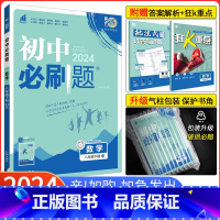 [正版]2024新版初中必刷题八年级下册数学华师版HS 初二数学必刷题 8年级下册数学必刷题华师版HS 同步资料书练习