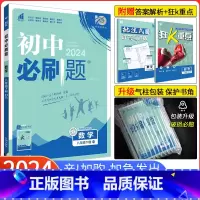 [正版]2024新版初中必刷题八年级下册数学华师版HS 初二数学必刷题 8年级下册数学必刷题华师版HS 同步资料书练习