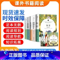 全套5册-九年级下册必读名著(学校推荐版全册) [正版]我是猫格列佛游记契诃夫短篇小说选原著无删减开明出版社初中生九年级