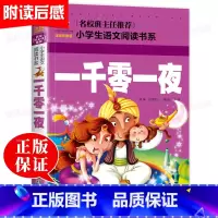 [彩色图案注音]一千零一夜 [正版]一千零一夜书籍注音版小学儿童故事书6-8-10岁小学生课外书必读经典书目老师带拼音童
