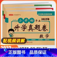语文+数学+英语3本[真题卷] 小学升初中 [正版]2023小升初真卷必刷题人教版 六年级下册试卷测试卷全套语文数学英语