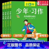 意林·少年习作 全四册 [正版]意林少年版2023 少年习作套装4册任选爱在光年之外 笔尖上的自然课 拐角遇见成长 我记