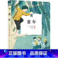 童年 [正版]童年 高尔基 语文人教版六年级上册 小学生课外阅读书籍必 读 青少年读物 世界名著北师大教授郑海凌全译本