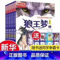 [正版]狼王梦书漫画版全套6册沈石溪动物小说全集6-12周岁小学生课外阅读书籍三四3五六年级 文学漫画书单本经典的书全
