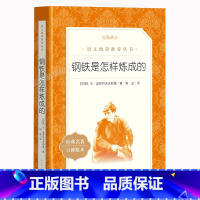 钢铁是怎样炼成的 [正版]钢铁是怎样炼成的原著八年级读必课外书下册语文阅读初二课外阅读书籍老师 的名著阅读初中生青少年无