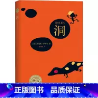 单本 [正版] 洞 美路易斯萨奇 李昕杜益 南海出版公司 文学 外国 文学 978754427158501 图书籍