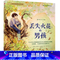 丢失火花的男孩 [正版]6-9岁丢失火花的男孩 玛吉&middot;奥法瑞尔 著 当不开心男孩遇见住在火山的捣蛋小怪物