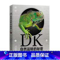 DK自然运转的秘密 [正版]6-18岁DK自然运转的秘密 英国DK公司科普百科 DK儿童自然百科全书王志庚王昱珩 自然