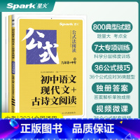 现代文+古诗文阅读 九年级/初中三年级 [正版]2024新初中语文现代文古诗文阅读九年级语文阅读理解专项训练文言文现代文