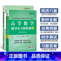 [2本]高等数学辅导+同步测试卷(同济八版)上册 [正版]高等数学辅导及习题精解同步测试卷同济高等数学同济第八版星火燎原