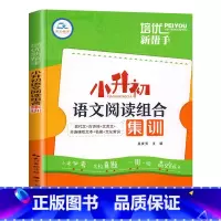 语文阅读组合集训 小学升初中 [正版]小升初阅读理解专项训练语文阅读组合集训人教版六年级下册阅读强化训练书小学升初中文言