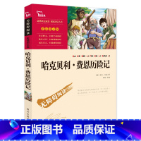 [正版]智慧熊 哈克贝利.费恩历险记 彩插励志版 3~6年级课外读物 小学生课外阅读书籍 中小学生假期阅读