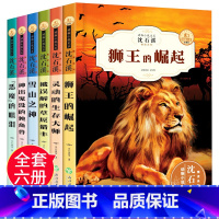 [正版]沈石溪动物小说全集全套6册狮王的崛起儿童文学小学生课外阅读书籍三四五六年级8-10-12-15岁经典读物长篇珍