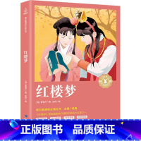 [正版]奇遇经典文库 红楼梦 曹雪芹 中学生书籍课外读物 儿童文学课外课外书 原著编撰青少版四大名著