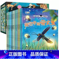 [套装更优惠]一二三四辑礼盒装 32册(全套) [正版]儿童绘本3-6岁奇妙大自然科普百科大全幼儿园绘本阅读老师三四岁宝