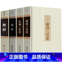 [正版]唐诗三百首精装全解 宋词三百首 全解精选精装 诗经 中国古诗词书籍 楚辞精装版古典文学文白对照全注全译无障碍