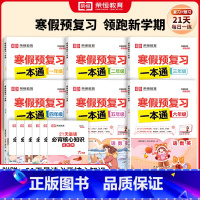 寒假预复习一本通 小学三年级 [正版]2024新寒假预复习一本通一二三四五六年级人教版小学生寒假作业衔接21天打卡计划同