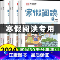[全4册]寒假阅读+试卷语数英 小学六年级 [正版]新版小学语文寒假阅读一二三四五六年级阅读理解强化训练提升