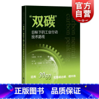 [正版]“双碳”目标下的工业行动技术路线 任庚坡 吕小静 主编上海科学技术出版社