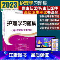 [正版]2024年护理学习题集护师进阶副主任护师卫生专业技术资格考试用书正高副高职称考试用书搭护理学护师进阶2024